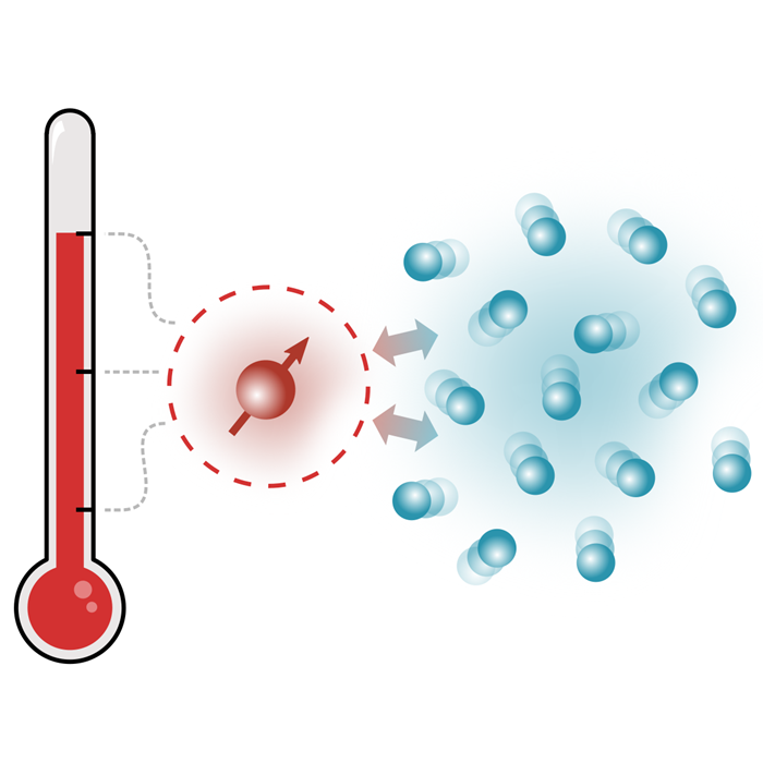 Illustration of thermometry using a single spin