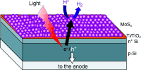 Hydrogen Production from a Molybdenum Sulfide Catalyst