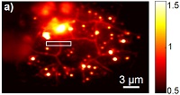 Steady-state photoluminescence of LaYS3 thin film. Radiative recombination is strongest on cracks in the film